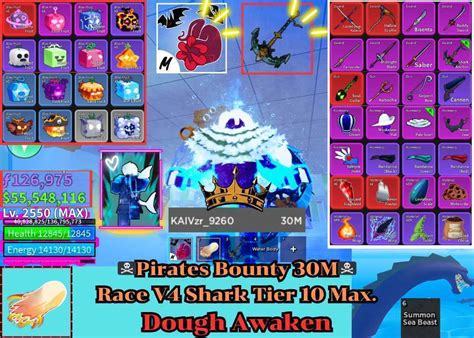 Account Blox Fruit Bounty Pirates 30M Lv 2550 Max Dough AwakenShark V4