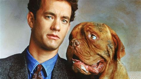 Turner E Hooch Como O Personagem De Tom Hanks Morre Na Nova Série De Uma Dupla Quase Perfeita