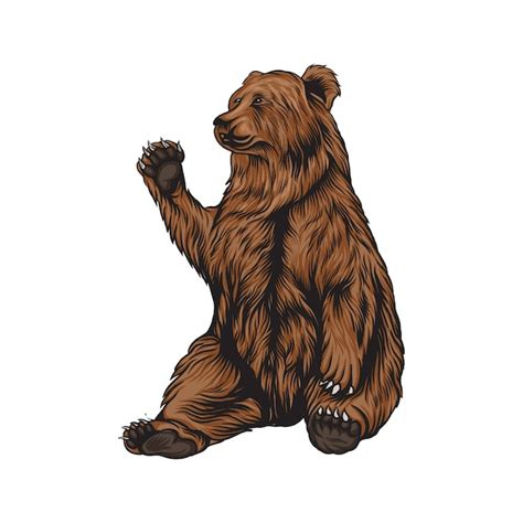 Ilustración del oso grizzly Vector Premium