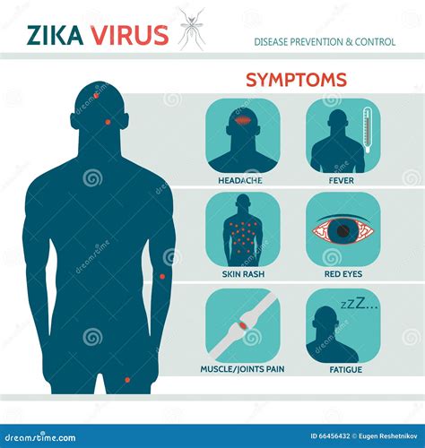 Zika Virus Symptoms Stock Vector - Image: 66456432