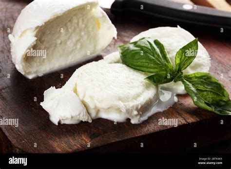 Mozzarella Traditional Italian Food White Ball Mozzarella Buffalo