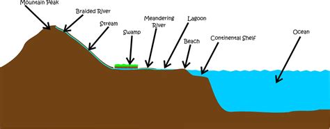 Dinojim Geology Stage 1 5 Sedimentary Rocks