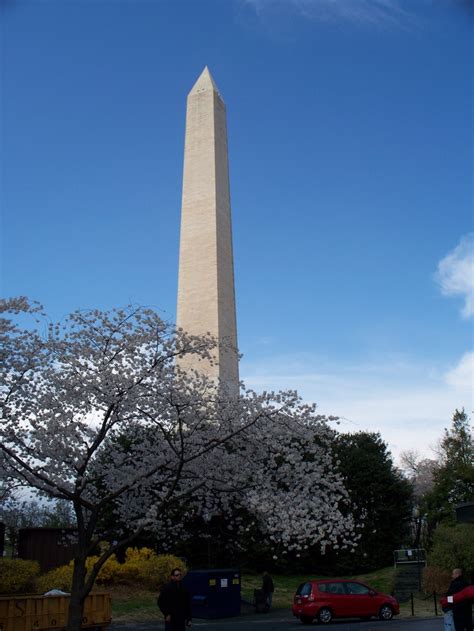 Washington Monument Cherry Blossom Festival 2012