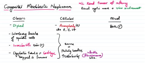 Congenital Mesoblastic Nephroma Pathonotes
