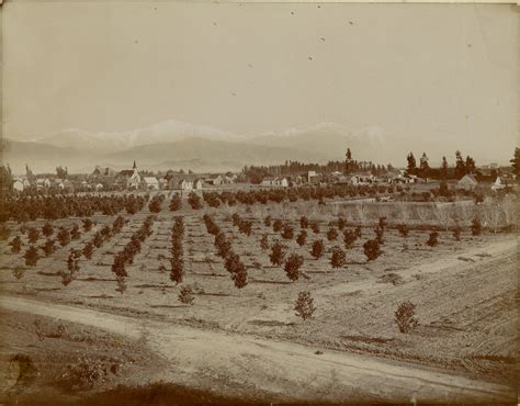 Covina Past: Covina, 1894