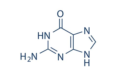 Guanine | DNA/RNA Synthesis 抑制剂 | 现货供应 | 美国品牌 | 免费采购电话400-668-6834