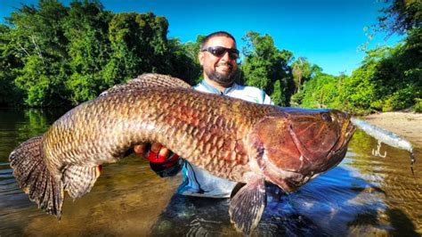 Pescador esportivo captura no Pará o maior Trairão do Brasil e quer