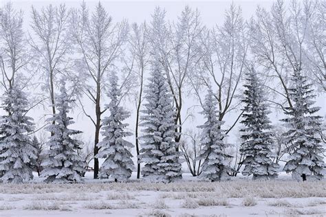 Stony Plain, Alberta, Canada