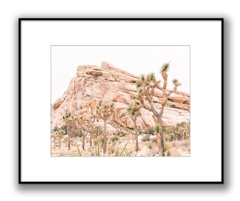 Joshua Tree Photography Modern Joshua Tree Print Desert - Etsy