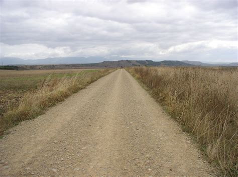 Le Pendu D Pendu La Poule Le Coq Et Nous Autres Sur Les Chemins De