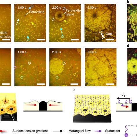 Blade Coating Of Perovskite Films A Schematic Illustration For The