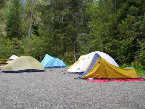 Birkenhead Lake Gals Camping Page 3 Clubtread Community