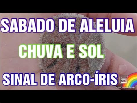 S Bado De Aleluia Sol E Chuva Sinal De Arco Iris Youtube