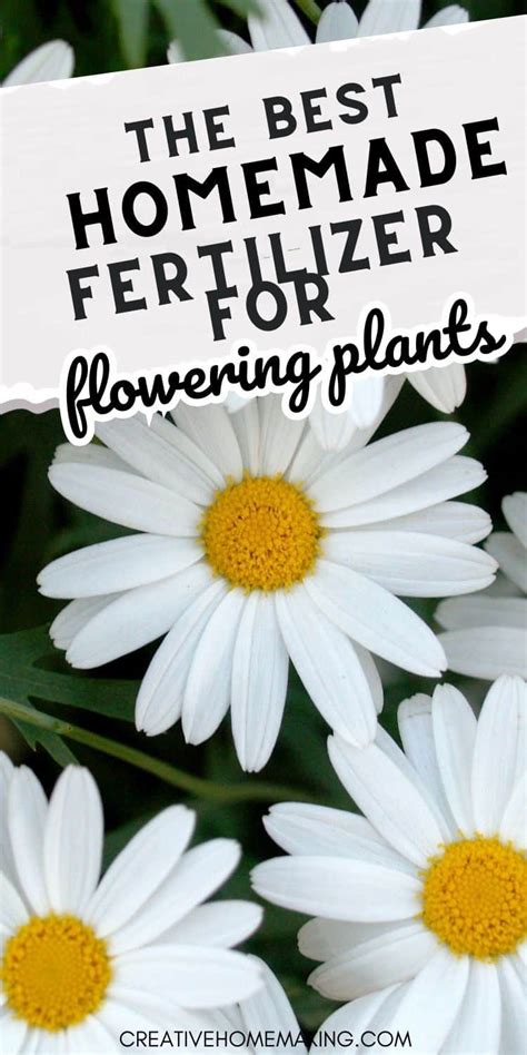 The Best Homemade Fertilizer For Flowering Plants Creative Homemaking