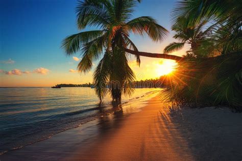 Sunrise On The Beach With Palm Trees