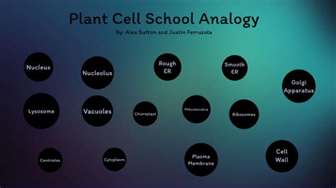 School Plant Cell Analogy by Alexander Sutton on Prezi