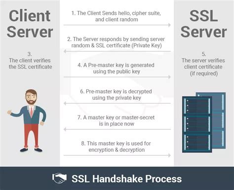 An Info Sheet Describing The Different Types Of Servers And How They