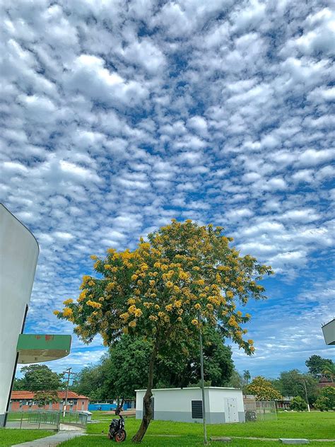 Quinta Feira Ser De Sol E Calor Em Todo O Acre Prev Sipam Acre