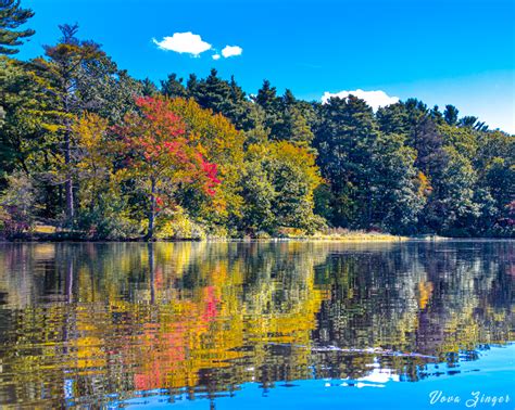 Early fall foliage colors | Vova Zinger's Photoblog