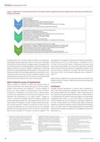 Endocrine Hypertension Pdf