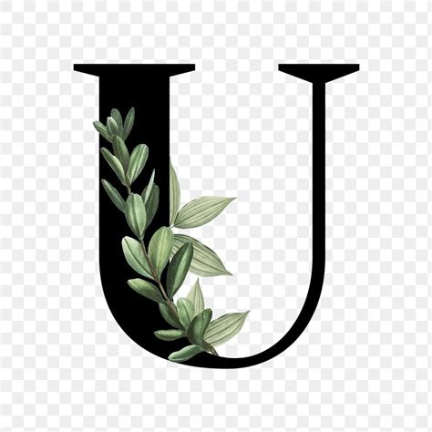 Download Premium Png Of Botanical Capital Letter U Transparent Png By