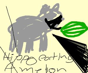 Hippopotamus Eating a Watermelon - Drawception