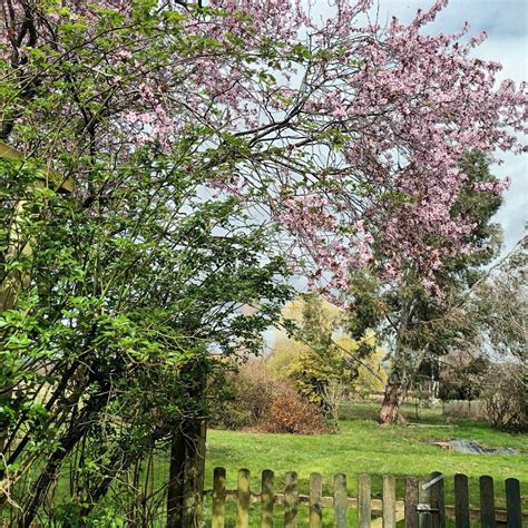 Happy Spring Equinox In The Northern Hemisphere Cassandra Eason