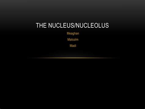 Ppt The Nucleusnucleolus Powerpoint Presentation Free Download Id