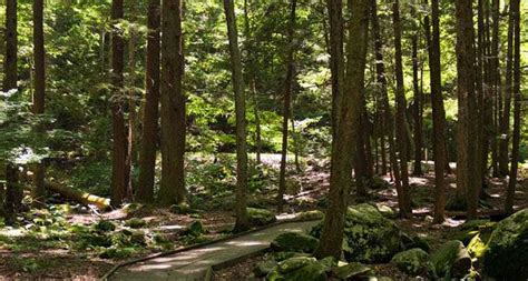 Park Highlight Welcome To Stokes State Forest In New Jersey