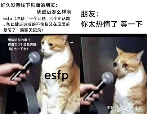 Mbti系列5：表演者esfp——在聚光灯下呼唤爱 知乎