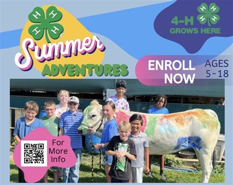 4 H Summer Camps N C Cooperative Extension