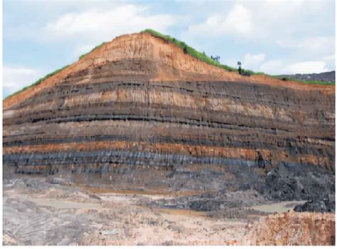 Mengenal Proses Terbentuknya Batuan Sedimen Batubara Paperplane