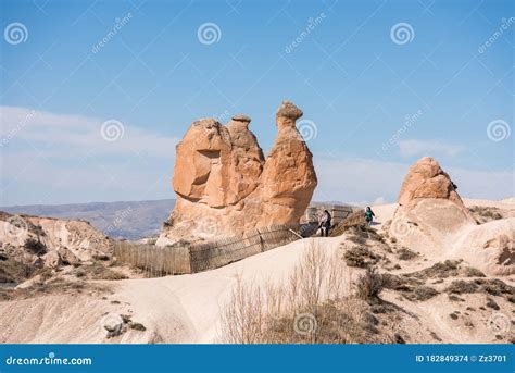 The Imagination Camel At Devrent Valley In Goreme Cappadociaturkey