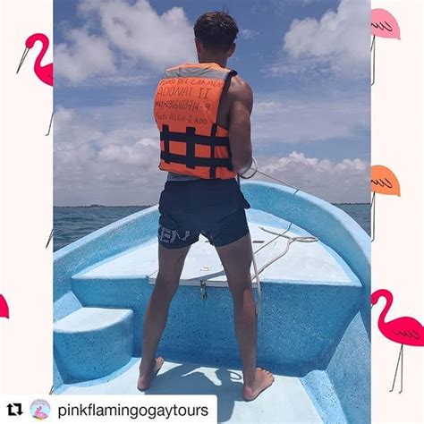 Gay Guide Mexico On Twitter We People Who Tag Us Like Pinkflamingogaytours Some Have