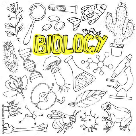 Vector Biology Science Doodles Back To School Illustration Stock