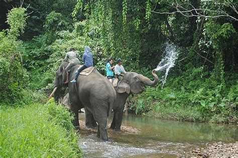 15 Fakta Menarik Taman Nasional Kayan Mentarang Yang Berperan Penting