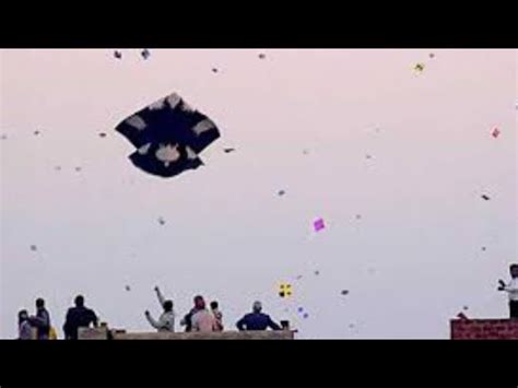 Amritsar Basant Big Kite Flying Youtube