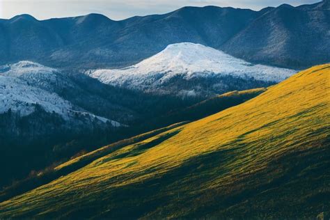 Premium Photo Beautiful Large Landscape Filled With Hills Sparse Forest