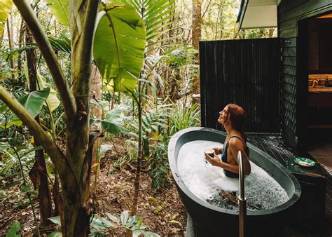 Relaxing Ways To Sleep In The Rainforest Cairns Great Barrier