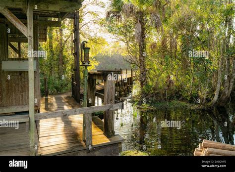 Fakahatchee Strand Preserve State Park Hi Res Stock Photography And