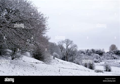 Snowy country scene with walker in distance Stock Photo - Alamy