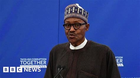 Nigerian President Buhari Not Demanding Cameron Apology BBC News