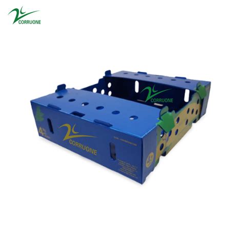 Caja PARA Okra China Custom Printed Corrugated Paper Packaging Box For