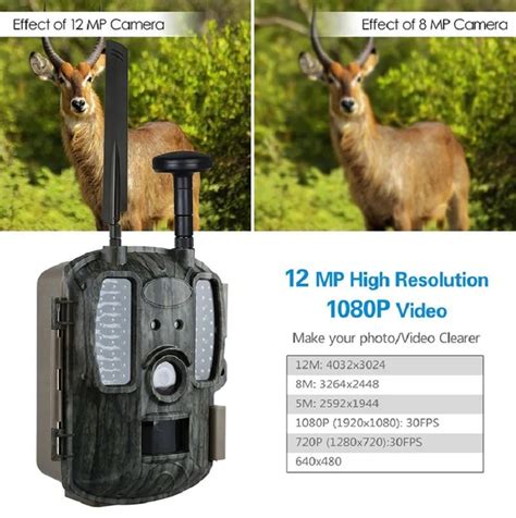 Wireless Security Hidden Hunting Camera Traps Bl Lp Scout Guard