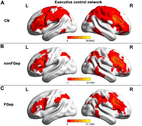 Frontiers Altered Structural And Functional Patterns Within Executive Control Network