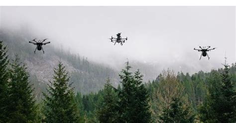 Flash Forest Receives 13 Million Investment For Tree Planting Drones