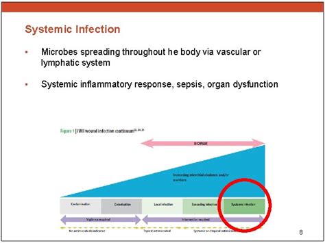 Wound Infections The Basics Overview Wound Infection Continuum