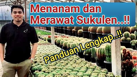 Panduan Lengkap Cara Menanam Dan Merawat Tanaman Sukulen Dan Kaktus