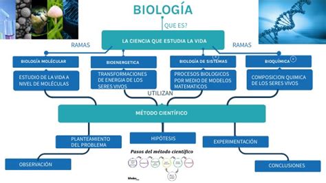 Mapa Conceptual Biologia Images The Best Porn Website