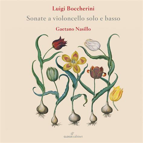 Luigi Boccherini Sonaten für Cello Bc 2 CDs jpc